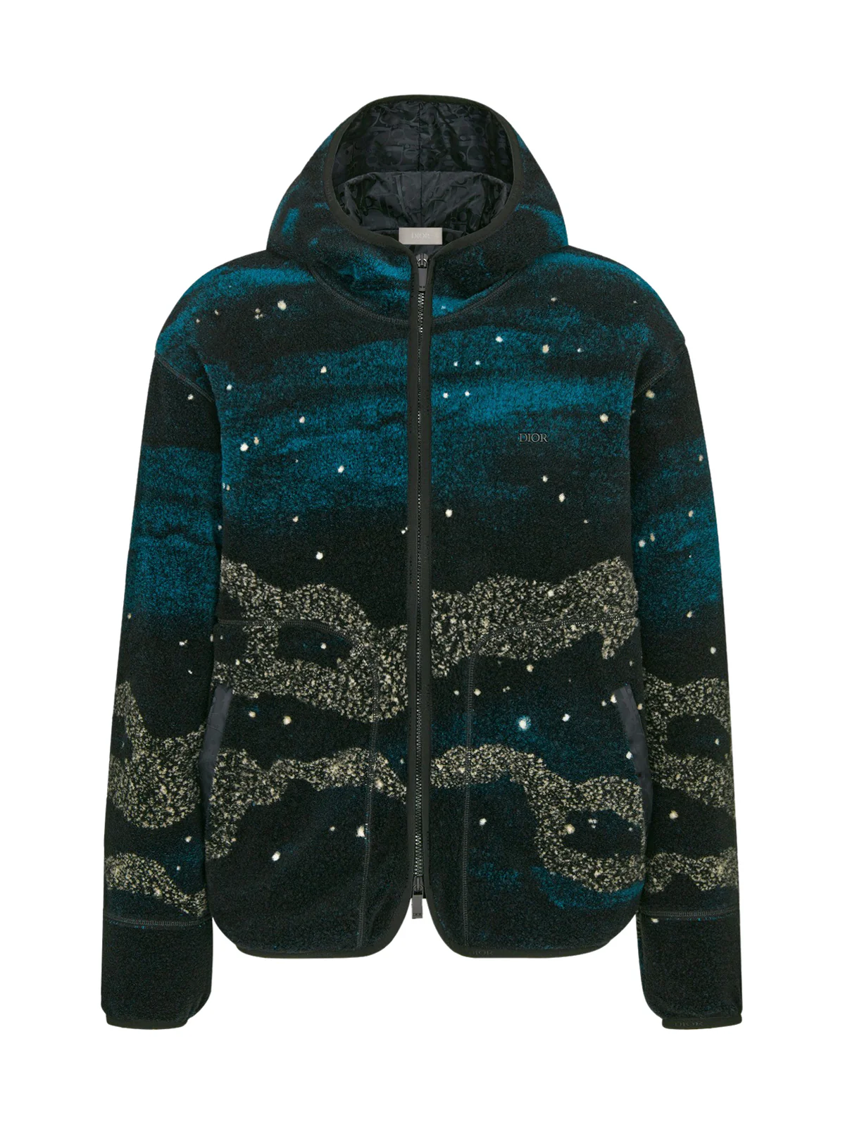 DIOR AND PETER DOIG ZIPPED HOODED BLOUSON - Image 2