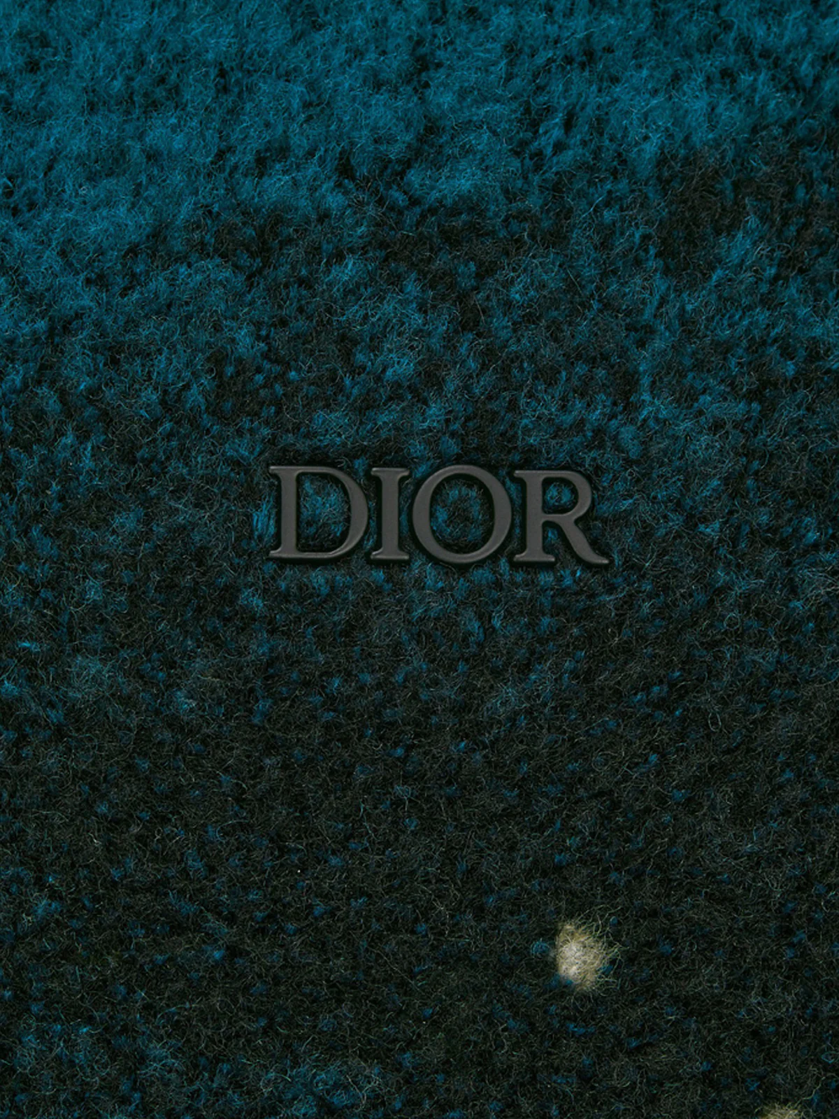 DIOR AND PETER DOIG ZIPPED HOODED BLOUSON - Image 6