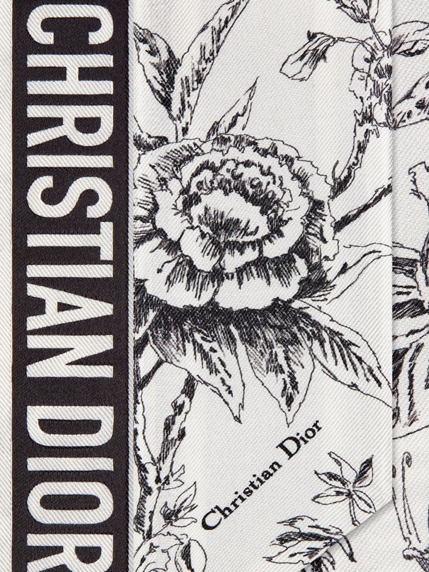 DIOR JARDIN BOTANIQUE MITZAH SCARF - Image 3