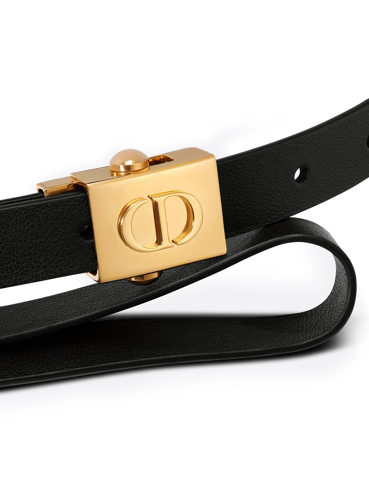 DIORPOLYTECHNIQUE BELT - Image 4